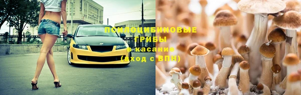 гашик Ладушкин