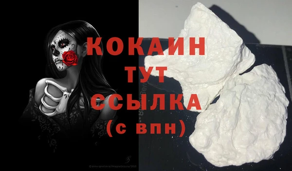 дмт Лиски