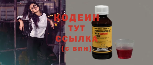 дмт Лиски