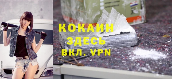 дмт Лиски