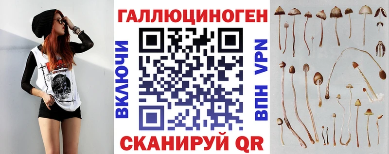 Купить где Шилка Псилоцибиновые грибы GOLDEN TEACHER