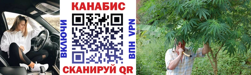 Купить закладки  Шилка  Канабис марихуана 